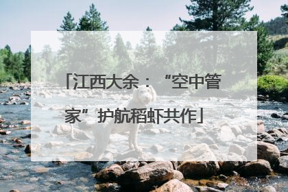 江西大余：“空中管家”护航稻虾共作