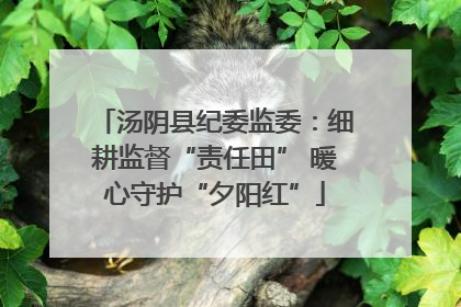 汤阴县纪委监委：细耕监督“责任田” 暖心守护“夕阳红”