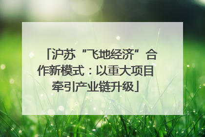 沪苏“飞地经济”合作新模式：以重大项目牵引产业链升级
