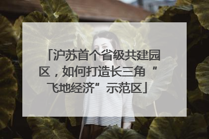 沪苏首个省级共建园区，如何打造长三角“飞地经济”示范区