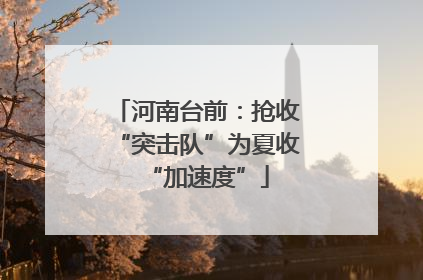 河南台前：抢收“突击队”为夏收“加速度”