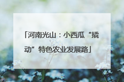 河南光山：小西瓜“撬动”特色农业发展路