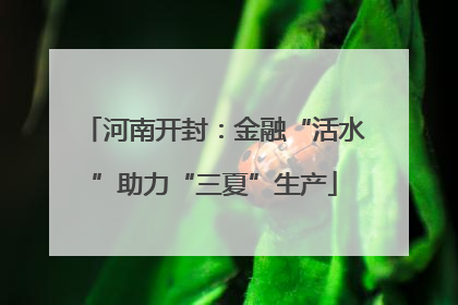 河南开封：金融“活水”助力“三夏”生产