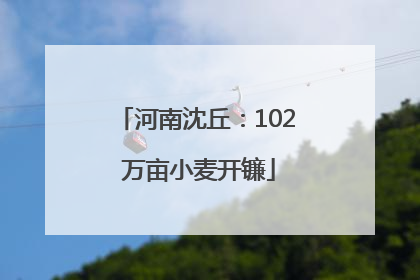 河南沈丘：102 万亩小麦开镰