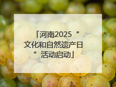河南2025“文化和自然遗产日”活动启动