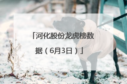 河化股份龙虎榜数据（6月3日）