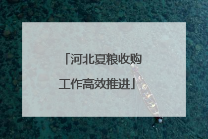 河北夏粮收购工作高效推进
