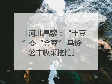 河北昌黎：“土豆”变“金豆” 马铃薯丰收采挖忙