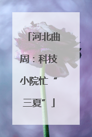 河北曲周：科技小院忙“三夏”