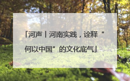 河声丨河南实践，诠释“何以中国”的文化底气