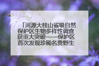 河源大桂山省级自然保护区生物多样性调查获重大突破——保护区首次发现珍稀名贵野生干巴菌与钝尾两头蛇