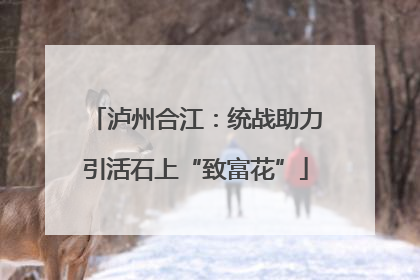 泸州合江：统战助力引活石上“致富花”