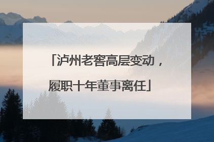 泸州老窖高层变动，履职十年董事离任