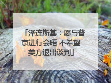 泽连斯基：愿与普京进行会晤 不希望美方退出谈判