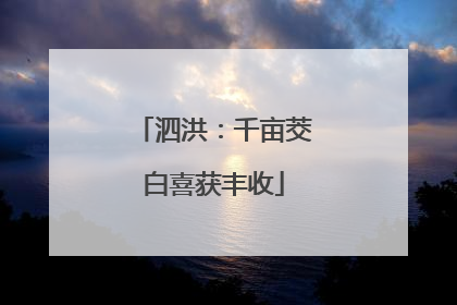 泗洪：千亩茭白喜获丰收