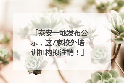 泰安一地发布公示，这7家校外培训机构拟注销！