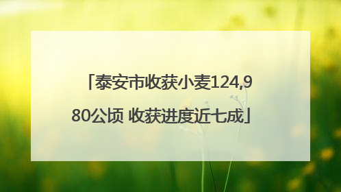 泰安市收获小麦124,980公顷 收获进度近七成