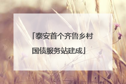 泰安首个齐鲁乡村国债服务站建成
