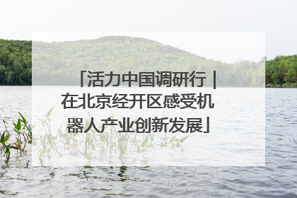 活力中国调研行｜在北京经开区感受机器人产业创新发展