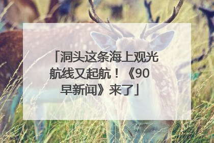 洞头这条海上观光航线又起航！《90早新闻》来了