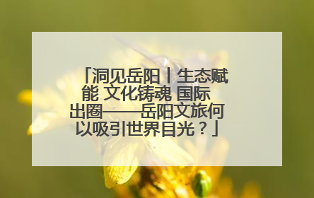 洞见岳阳丨生态赋能 文化铸魂 国际出圈——岳阳文旅何以吸引世界目光？