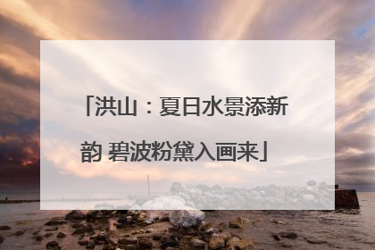 洪山：夏日水景添新韵 碧波粉黛入画来
