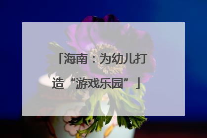 海南：为幼儿打造“游戏乐园”