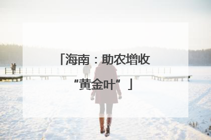 海南：助农增收 “黄金叶”