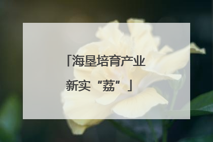 海垦培育产业新实“荔”