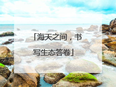 海天之间，书写生态答卷