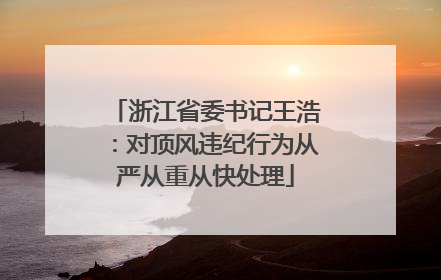浙江省委书记王浩：对顶风违纪行为从严从重从快处理