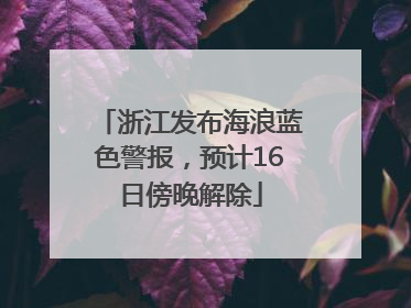 浙江发布海浪蓝色警报，预计16日傍晚解除