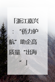 浙江嘉兴：“侨力护航”助企高质量“出海”