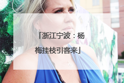 浙江宁波：杨梅挂枝引客来