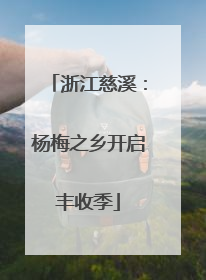 浙江慈溪：杨梅之乡开启丰收季