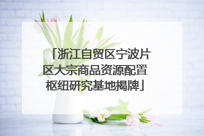 浙江自贸区宁波片区大宗商品资源配置枢纽研究基地揭牌