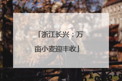 浙江长兴：万亩小麦迎丰收