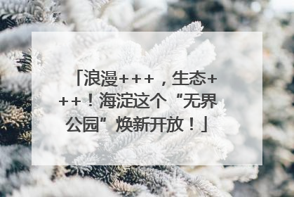浪漫+++，生态+++！海淀这个“无界公园”焕新开放！