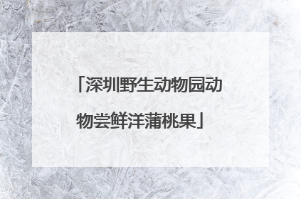 深圳野生动物园动物尝鲜洋蒲桃果