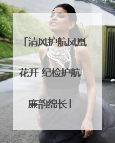 清风护航凤凰花开 纪检护航廉韵绵长