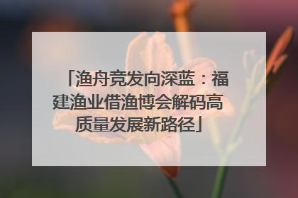 渔舟竞发向深蓝：福建渔业借渔博会解码高质量发展新路径