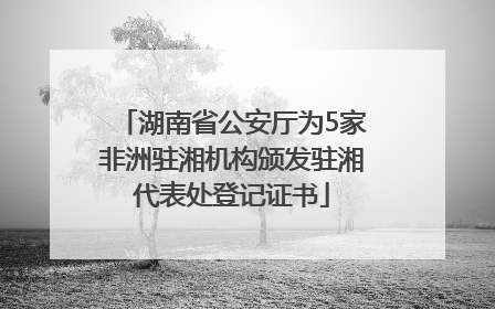 湖南省公安厅为5家非洲驻湘机构颁发驻湘代表处登记证书