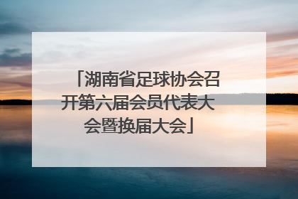湖南省足球协会召开第六届会员代表大会暨换届大会