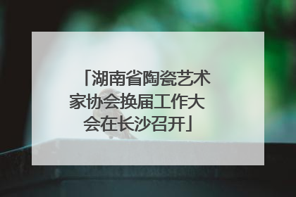湖南省陶瓷艺术家协会换届工作大会在长沙召开