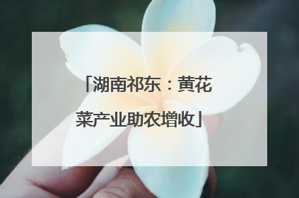 湖南祁东：黄花菜产业助农增收