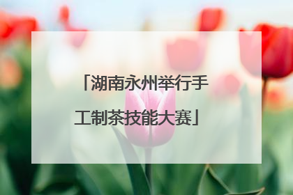 湖南永州举行手工制茶技能大赛