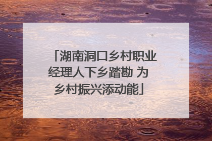 湖南洞口乡村职业经理人下乡踏勘 为乡村振兴添动能
