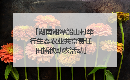 湖南湘潭韶山村举行生态农业共富责任田插秧助农活动