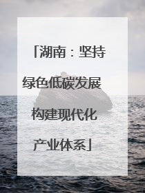 湖南：坚持绿色低碳发展 构建现代化产业体系