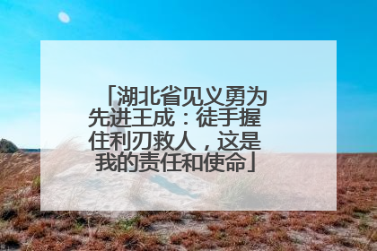 湖北省见义勇为先进王成：徒手握住利刃救人，这是我的责任和使命